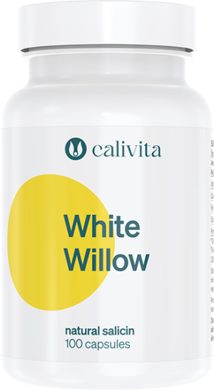 White Willow 100 kapsli - Doplněk stravy. Vrbová kůra s obsahem kyseliny salicylové.